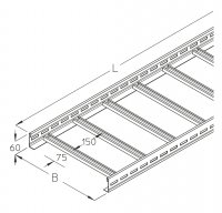 LGG-BS 60_01